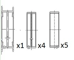 Crankshaft Bearing